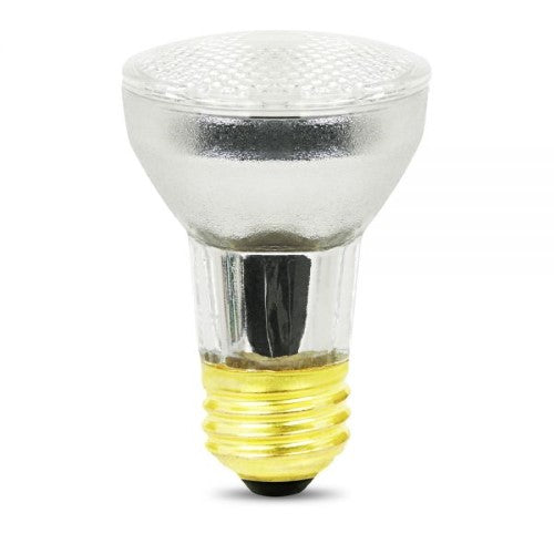 Halogen Flood Bulb 60W