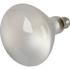 Bulb 300 W 12V Flood