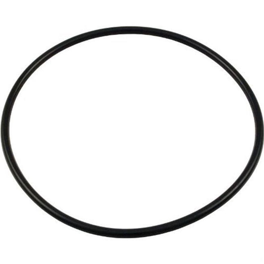 Hayward Lid O-Ring