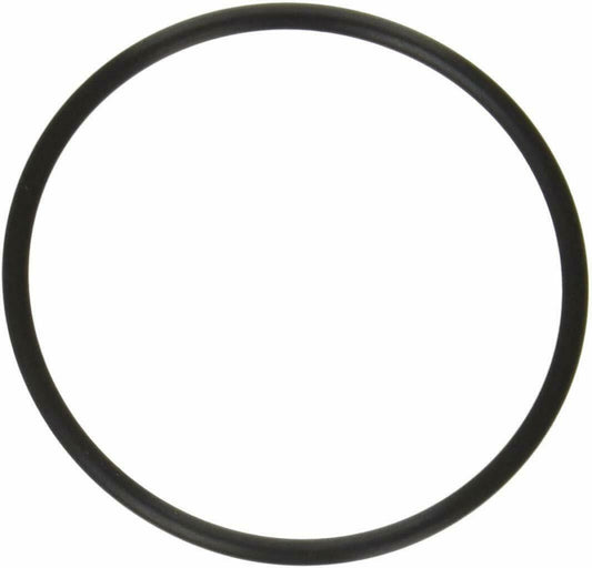 Hayward Strainer O-Ring