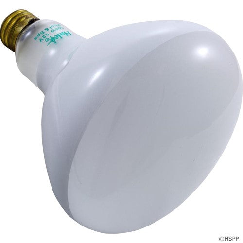Bulb 300W 12V Halco R40