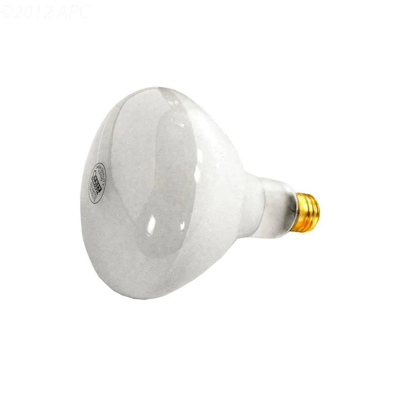 Bulb 500 W 120 V Flood