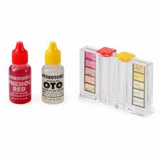 Economy Dual Test Kit